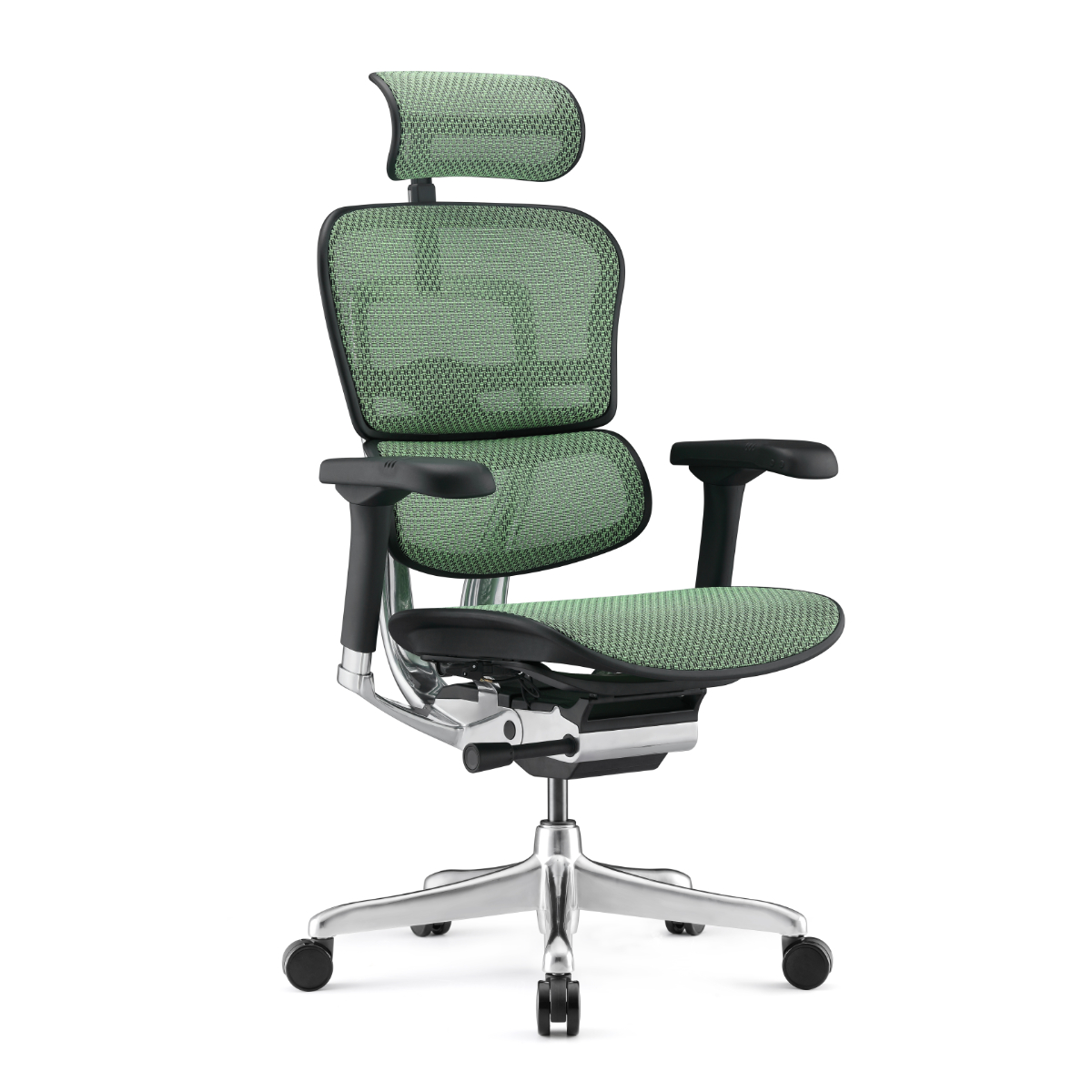 Ergohuman NEW Colors - Ergohuman Green